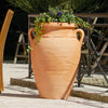 Image of Terracotta 360L Antique Amphora MiniTank urn planter with greenery on a wooden deck