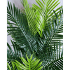 Image of Multi Trunk Hawaii Palm 180cm Leaves Image 2