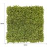 Image of Fake Moss Wall Dimensions
