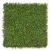 Image of Square piece of artificial premium buxus hedge panel on a white background