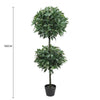 Image of Artificial Bayleaf Ficus Topiary Tree Two Ball Potted Topiary 130cm Dimensions