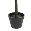 Image of Artificial Bayleaf Ficus Topiary Tree Two Ball Potted Topiary 130cm Pot View