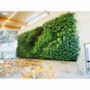 Image of Green living wall in a modern indoor setting with tables and chairs.