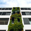 Image of Green wall on the side of a building with a clear sky background