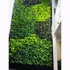 Image of Green foliage wall on a white wall