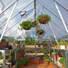 Image of Maze Greenhouse inside view - silver