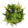 Image of Roof Hanging Disc With Artificial Plants Black Frame 40cm close up draping plants