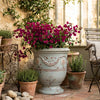 Image of Celadon Traditional Authentic Anduze Urn