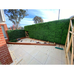 Artificial Deluxe Buxus Hedge Wall Panel 1m x 1m UV Stabilised