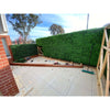 Image of Artificial Deluxe Buxus Hedge Wall Panel 1m x 1m UV Stabilised