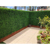 Image of Artificial Deluxe Buxus Hedge Wall Panel 1m x 1m UV Stabilised