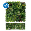 Image of Artificial green wall panel with three different color options labeled A, B, and C on a white background.