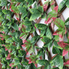 Image of Expandable Photinia Trellis Screen 2m x 1m UV Stabilised