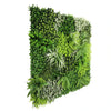 Image of side view of artificial forest floor green wall panel with various green plants on a white background