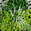 Image of Close up view of the forest floor panel greenery with a focus on a single leaf