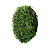 Image of Mixed Fern And Ivy Artificial Green Wall 100cm Black Actual View