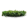 Image of Mixed Fern And Ivy Artificial Green Wall 100cm White Side View