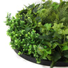 Image of Mixed Fern And Ivy Artificial Green Wall 80cm Black Up Close