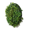 Image of Mixed Fern And Ivy Artificial Green Wall 90cm White Actual View