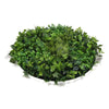 Image of Mixed Fern And Ivy Artificial Green Wall 90cm White Main View