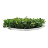 Image of Mixed Fern And Ivy Artificial Green Wall 90cm White Side View