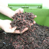 Image of Hungry Bin Worm Composter Image With Soil and Worm