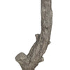 Image of Large Fake Olive Tree Branch