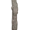 Image of Large Fake Olive Tree Trunk View