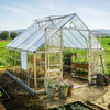 Image of Balance Greenhouse With Plants