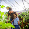 Image of Maze Balance Greenhouse Inside View
