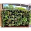 Image of Maze Green Wall Extra Large Vertical Planter Kit Installed on Patio Front View