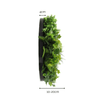 Image of Mixed Fern And Ivy Artificial Green Wall Disc UV Stabilised