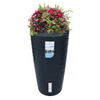 Image of Charcoal Rainwater tank 240L With Plant On Top