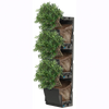 Image of Stack of green plants in black containers on a white background
