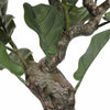 Image of Faux Fiddle Leaf Fig Tree Branch