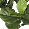 Image of Faux Fiddle Leaf Fig Tree Leaves Image 2