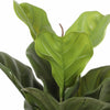 Image of Faux Fiddle Leaf Fig Tree Leaves