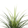 Image of Artificial Yucca Tree Leaves