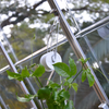 Image of Greenhouse Trellising Kit