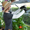 Image of Greenhouse Trellising Kit