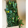 Image of 50 x Artificial Peach & Lemon Citrus Plant Stems Open Box Discount