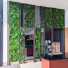 Image of Artificial Country Fern Recycled Vertical Garden Panel Displayed in a Coffee Shop