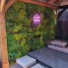 Image of Artificial Country Fern Recycled Vertical Garden Panel on a Shed OutDoor