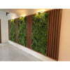 Image of Artificial Country Fern Recycled Vertical Garden Panel in the Hallway with Wooden Panels