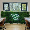 Image of Artificial Country Fern Recycled Vertical Garden Panel Installed Indoor
