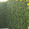 Image of A close up angled shot of the Artificial Flowering Buxus Hedge Plant Panel as a decorative or privacy wall