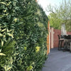 Image of Artificial Green Forest Vertical Garden Panel Installed Outdoors on brick wall in a patio area with seating