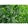 Image of Close up image of the foliages on the Green Tropics Artificial Plant Wall Panel 1m x 1m UV Stabilised