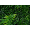 Image of Green Tropics Artificial Plant Wall Panel Zoom in image of leaves and foliages