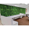 Image of Green Tropics Artificial Plant Wall Panel installed on a white office wall beneath long white desks with a brown carpet underfoot